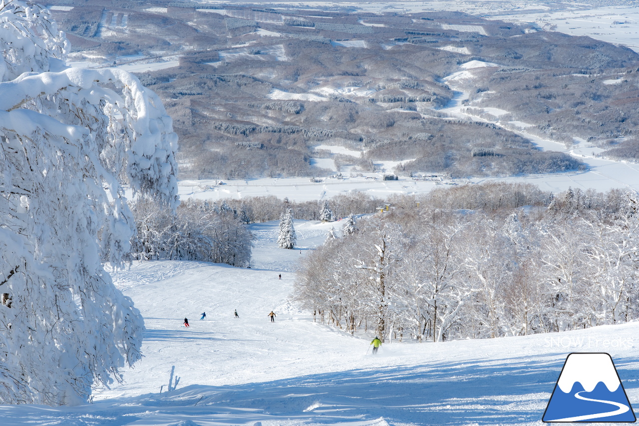 カムイスキーリンクス｜この上ないほど澄んだ青空と極上のパウダースノー。やっぱり『カムイ』は外れない！